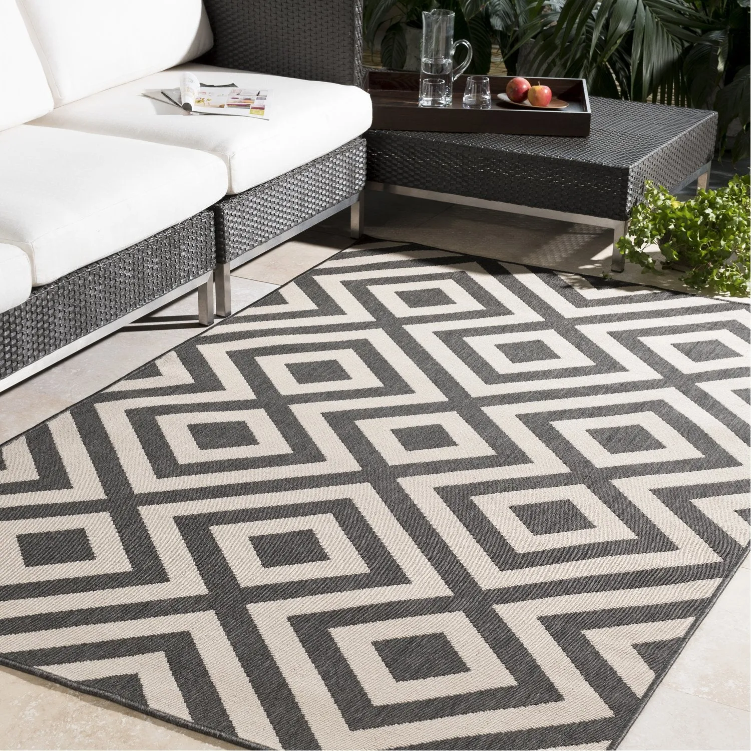 Alfresco Beige & Black Rug